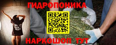 ALPHA PVP Новозыбков