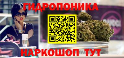 ALPHA PVP Новозыбков