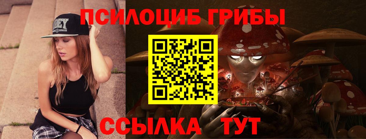 Новоуральск  Галлюциногенные грибы Psilocybine cubensis  Вход с VPN 